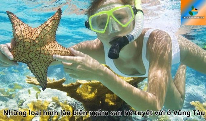 Những loại hình lặn biển ngắm san hô tuyệt vời ở Vũng Tàu