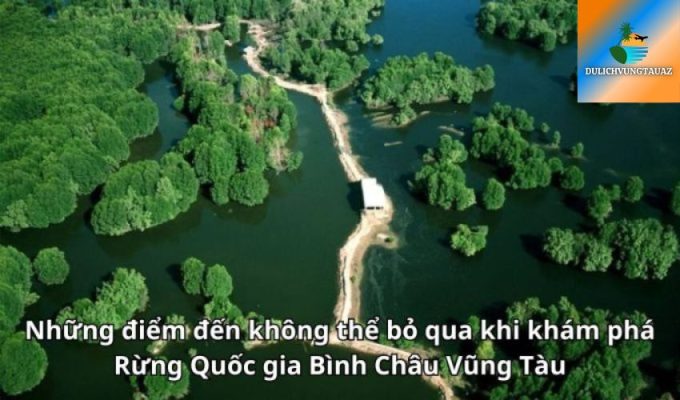 Những điểm đến không thể bỏ qua khi khám phá Rừng Quốc gia Bình Châu Vũng Tàu