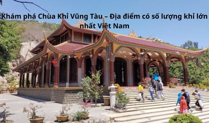 Khám phá Chùa Khỉ Vũng Tàu – Địa điểm có số lượng khỉ lớn nhất Việt Nam