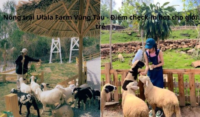 Nông trại Ulala Farm Vũng Tàu - Điểm check-in hot cho giới trẻ