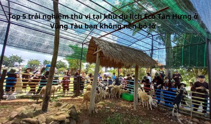 Top 5 trải nghiệm thú vị tại khu du lịch Eco Tân Hưng ở Vũng Tàu bạn không nên bỏ lỡ